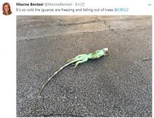 "